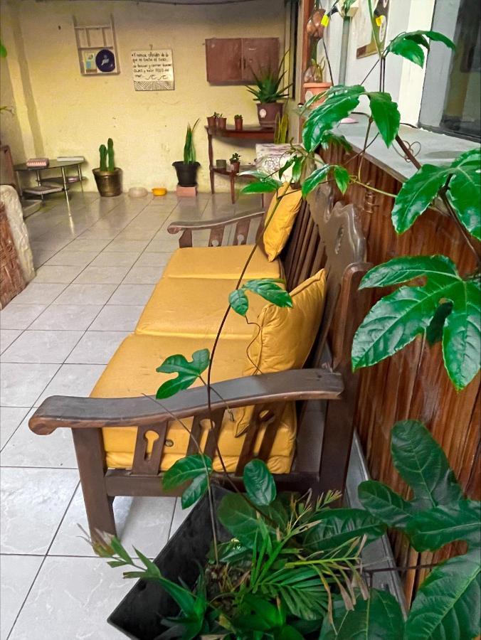 Totora Surf Hostel Huanchaco Ngoại thất bức ảnh
